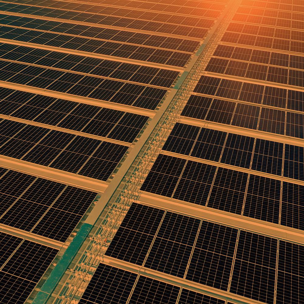 Sistem İzleme ve Raporlama